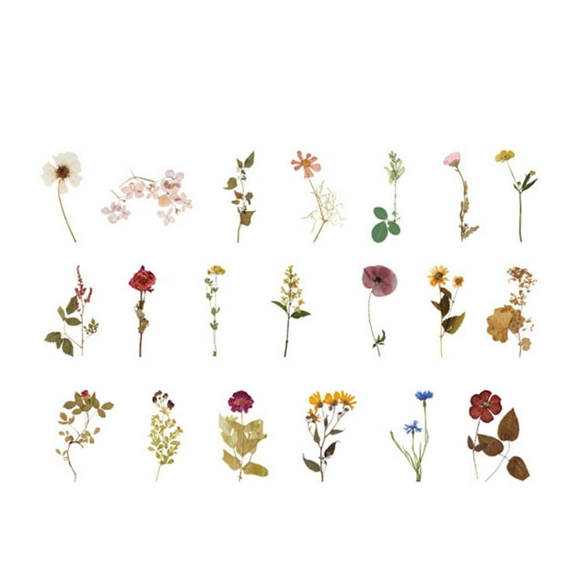 CAROOTU Sticker Scrapbooking Supplies Beautiful Adhesive Decorative Sticker For Gift Packaging Notebooks