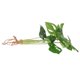thumbnail image 5 of unbranded Con Planta Falsa Monstera Verde Resistente Para Escritorio Y Espacios Interiores, 5 of 7