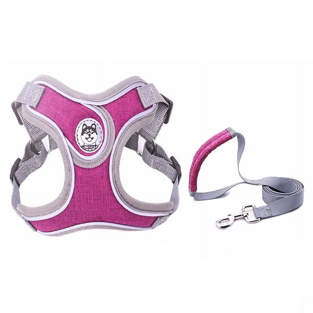 Arnés antitirones para perros, chaleco reflectante, correa y collar para perros pequeños, para terrier, schnauzer, mascotas, gatos, suministros de entrenamiento para caminar, chihuahua