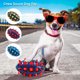 thumbnail image 1 of Nyidpsz - Pelota de goma interactiva para masticar para perros, juguete para masticar con sonido, cómoda y chirriante, para la dentición, limpieza, masticación, juego y golosinas, 1 of 8