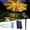 🔥 As show_New#1410, variant on Solar Outdoor Umbrella Light | Remote Control LED String | 8-Clip Design Solar & USB Rechargeable | Timer & 8 Modes | Waterproof Patio Tent Beach Garden Sunshade Lamp | Fits 6-10 ft Umbrellas