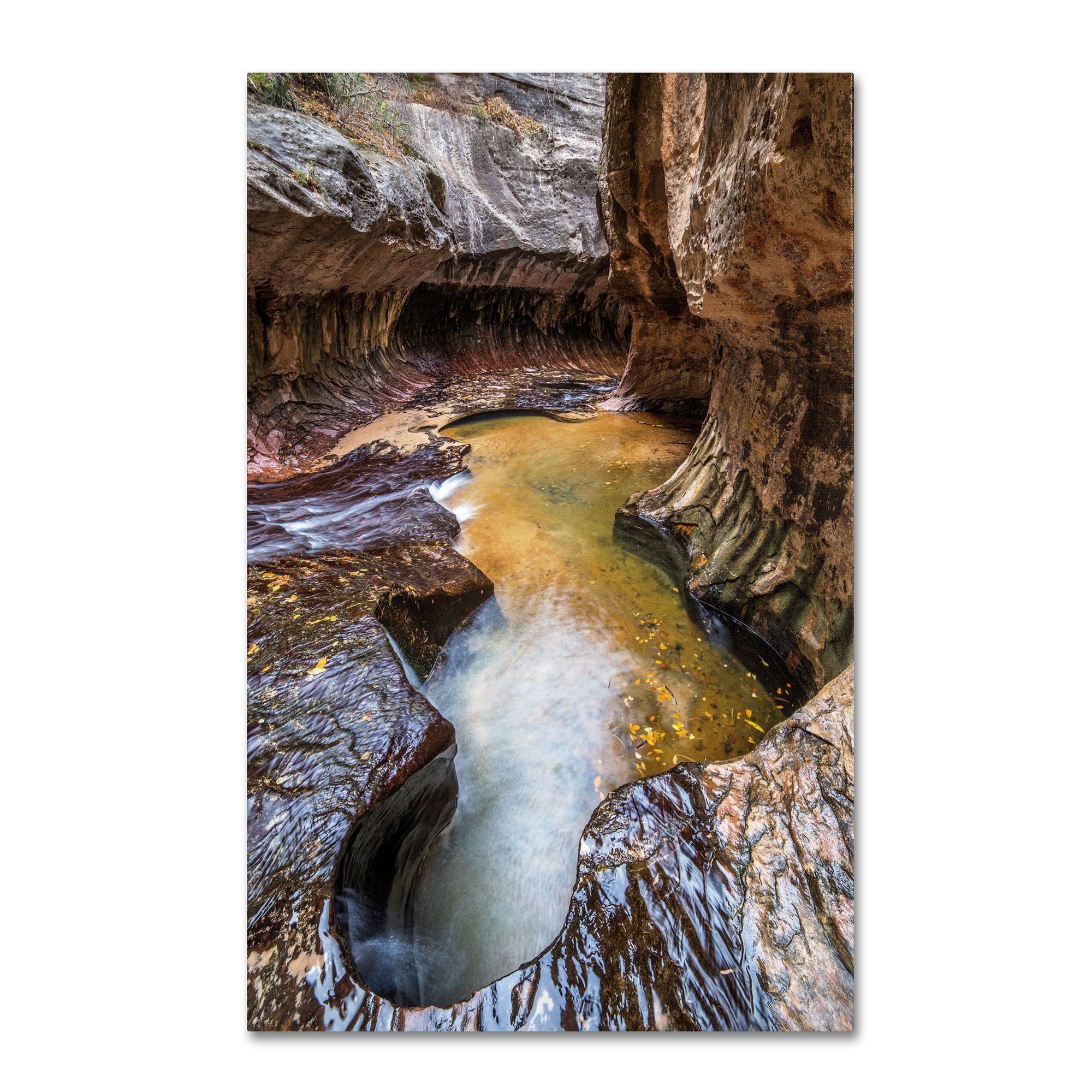 Trademark Fine Art "Subway 14mm" Canvas Art by Pierre Leclerc