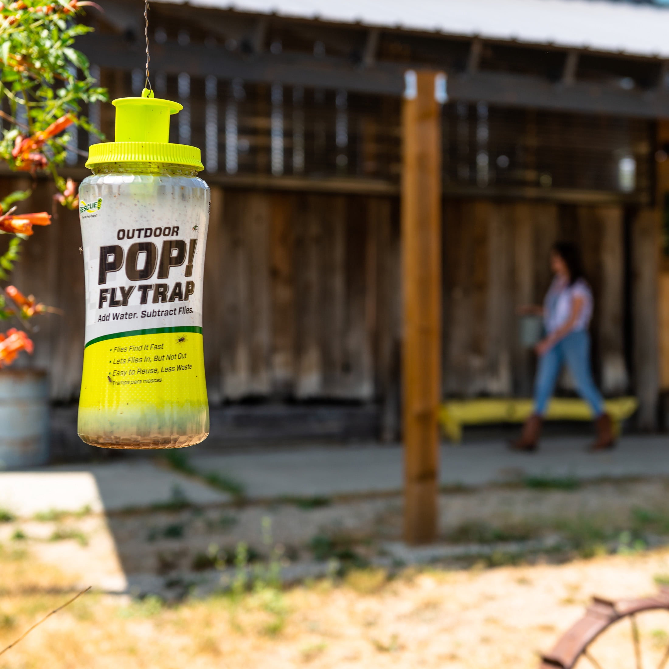 RESCUE! Pop! Reusable Outdoor Fly Trap, 1 Pack Resin