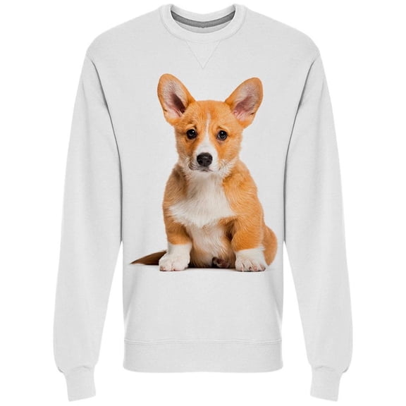 Pembroke Welsh Corgi Possing Sweatshirt Men -Image by Shutterstock Men Sweatshirt, Male Small