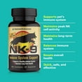thumbnail image 3 of American BioSciences NK-9 AHCC Supplement for Dogs & Cats - Dietary Supplement to Support Immune System - Made for Pet's Immune Defenses - 30 Capsules, 250mg/capsule, 3 of 6
