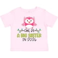 thumbnail image 3 of Inktastic Owl Be a Big Sister in 2026 Girls Toddler T-Shirt, 3 of 5