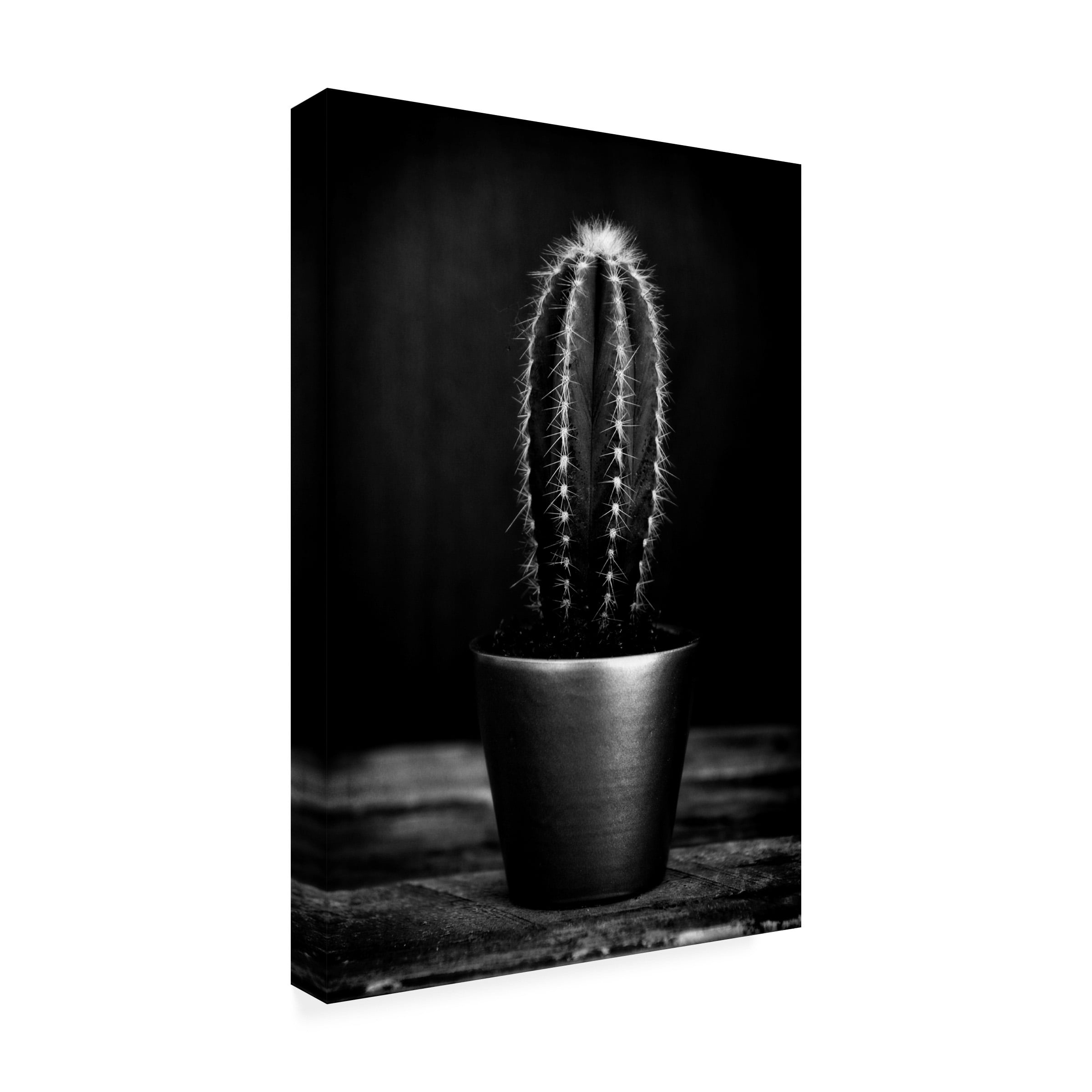 Canvas Wall Art - Tom Quartermaine 'Black and White Cactus' Wall Art for Living Room, Bedroom, or Office DÃ©cor by Trademark Fine Art - 12 x 19 Inches