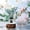 Multicolor B, variant on WWV Reed Diffuser Set 50ml Glass Fragrance Oil Diffuser Long Lasting Room Freshener for Bathroom Bedroom and Home Decor Aromatherapy Gift for Housewarming and Holidays