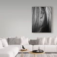 thumbnail image 3 of Trademark Fine Art 'Shy Crop' Canvas Art by Aledanda, 3 of 3