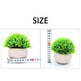 thumbnail image 3 of Pequeñas plantas Craft Simulation Gifts Dousewarming Gifts Bonsai PU Material Ornamento Planta en maceta para el pequeña sala de de de - Beige a Soledad Plantas en macetas, 3 of 7