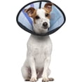 thumbnail image 3 of Calm Paws Collier de Récupération pour Chien, Petit, 3 of 3