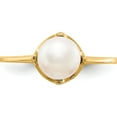 thumbnail image 4 of 14K Yellow Gold 6.5mm Fw Cultured Pearl Ring (Size 7) Made In United States y1926pl, 4 of 5