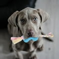 thumbnail image 4 of Dog Chew Toys Durable Plastic Material Teeth Cleaning Interactive Puppy Teething Reduce Anxiety Boredom for Aggressive Chewers Small Medium Large Dogs Indoor Outdoor, 4 of 5