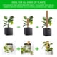 thumbnail image 5 of Poste De Musgo 2 Uds Postes De Tótem De Fibra De Coco Soporte De Plantas Palo De Musgo Apilable Estaca De Planta De Poste De Fibra De Coco Para Escalar Plantas En Macetas De Interior Enredaderas Con 1 Muyoka Hogar, 5 of 7
