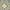 Grey/Gold/Medium Rectangle, variant on SAFAVIEH Four Seasons Delbert Trellis Polyester Area Rug, Grey/Ivory, 5' x 8'