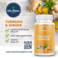 Via Natura Organics Turmeric & Ginger 1000mg Capsules AntiInflammatory Herbal Supplement