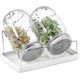 thumbnail image 1 of Complete Mason Jar Sprouting Kit, 2 Wide Mouth Quart Jars with 316 Stainless Steel Lids & Stand, 1 of 5