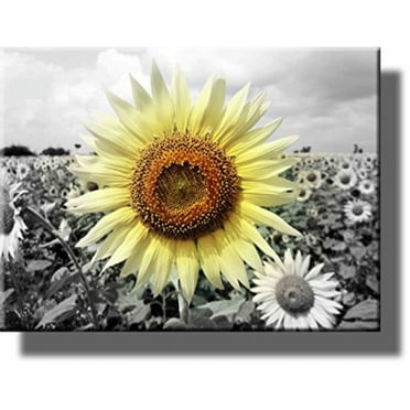 Big Sunflower on Farm Picture on Stretched Canvas, Wall Art D?cor, Ready to Hang