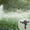 Red, variant on VANLOFE Watering & Irrigation Plastic External Thread 360 Degrees Rotating Rocker Arm Sprinkler Water- Irrigation For Agricultural Gardens