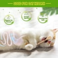 thumbnail image 4 of Natural Silvervine Cat Chew Sticks with Integrated Catnip Ball, Dental Health Molar Cleaning Toy for Felines, Durable Interactive Teaser for Boredom Relief and Play, 4 of 6