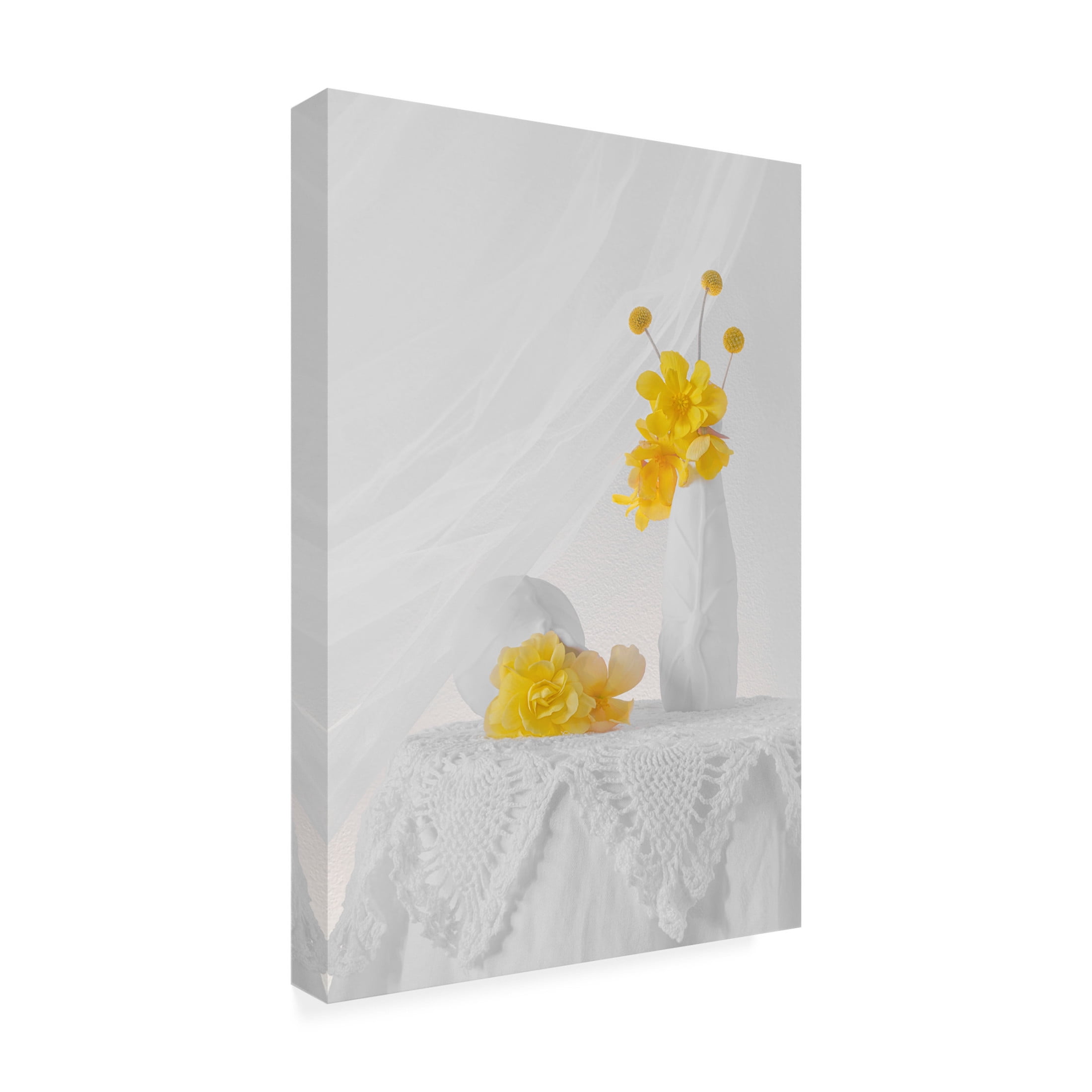 Canvas Wall Art - Lydia Jacobs 'A Bright Day' Wall Art for Living Room, Bedroom, or Office Décor by Trademark Fine Art - 30 x 47 Inches