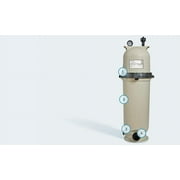 Pentair 160317 Clean and Clear Replacement Pool Filter Pump Cartridge Assembly