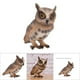 thumbnail image 1 of Juguete de plástico para animales juguete de búho realista modelo de búho de simulación modelo de búho de mesa para regalo de niños decoración del hogar ANGGREK Otros, 1 of 8