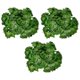 thumbnail image 1 of 36 Paquetes Hojas de Hiedra Artificial Planta Vid Colgante Buganvilla Falsa Hogar Jardín Oficina Decoración de Pared Verde, 1 of 5