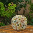 thumbnail image 5 of Solar Powered Flower Ornaments for Homestays Gardens Courtyards Resin Decorations Colored Lights Flowers Dragonflies Butterflies Garden Ornaments, 5 of 7