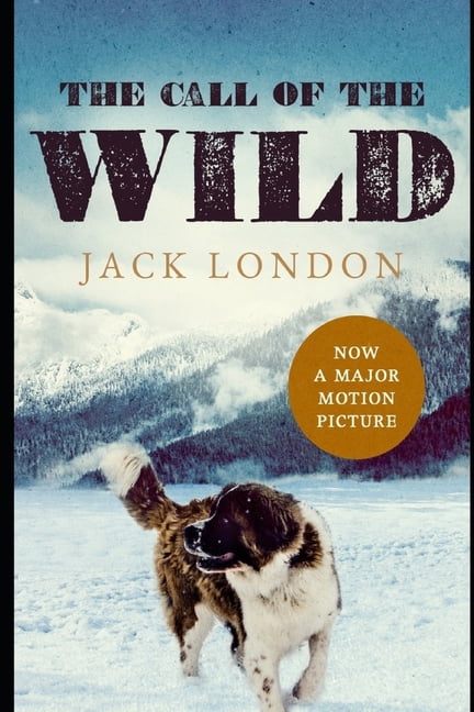 wildthorn book wildthorn book