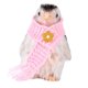 thumbnail image 5 of Mini pingüino de silicona realista, juguete sensorial, modelo, Mini adorno, figura de pingüino realista encantadora para niños, regalo de cumpleaños, 5 of 8