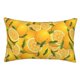 thumbnail image 1 of Balery Yellow Limes Funda de Cojín Estampada, Regalos para Mujeres, Regalos de Amor para Ella, Regalos para Novia o Esposa, Funda de Almohada-20"x30", 1 of 6