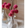 thumbnail image 2 of Artificial Ricinus Stem in Pink 15" Tall, 2 of 4