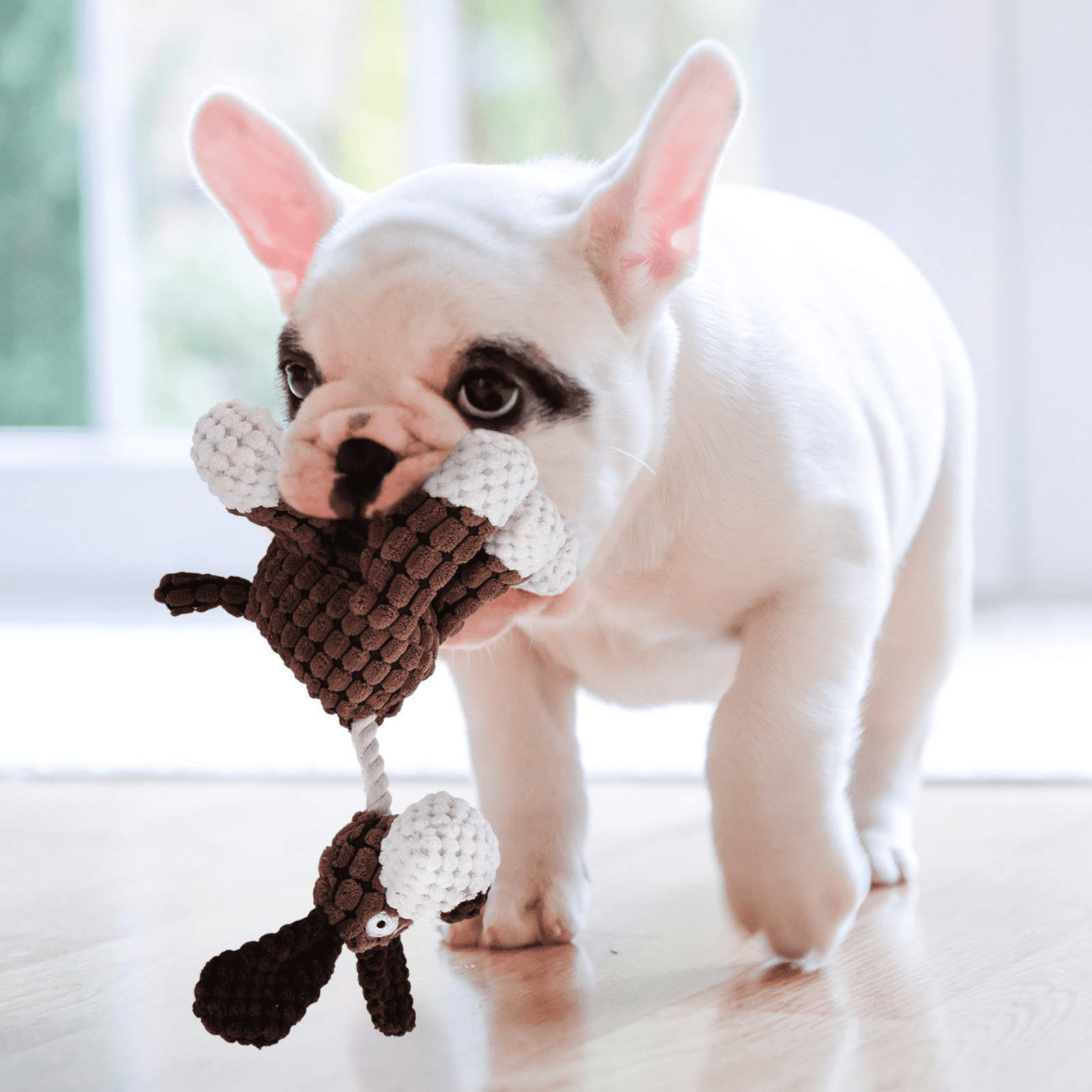 Squeaky Dog Toys Small Dog Toys, 3 Pack Puppy Toys Stuffed Animal Dog Toys, Puppy Chew Toys with Squeaker, Donkey Stuffed Dog Toys for Puppies, Plush Dog Toy Pack, Dog Toys for Medium Dogs