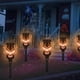 thumbnail image 4 of Linterna solar con forma de calavera de Halloween SPRKLINLIN, paquete de 8 unidades, impermeables, 4 of 6