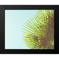thumbnail image 2 of Quintero, Sonja 14x12 Black Modern Framed Museum Art Print Titled - Sunny Palms II, 2 of 5