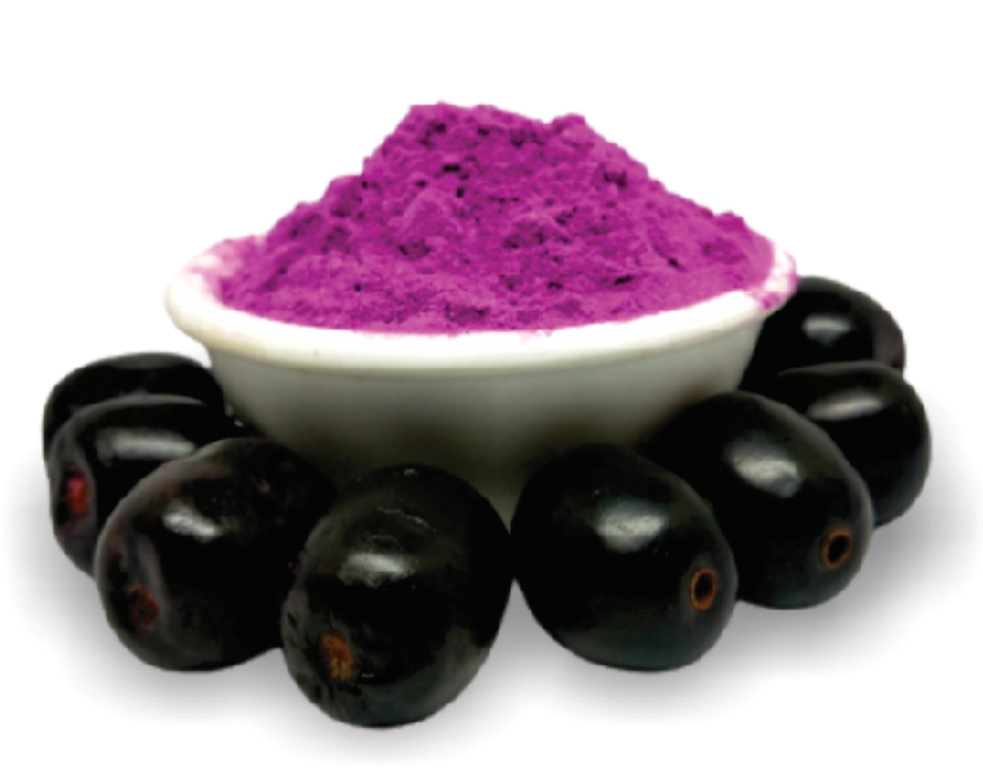 TerraVita Java Plum Supplement - 450 Mg Per Capsule, 100 Capsules, No Fillers (ZIN: 520587)