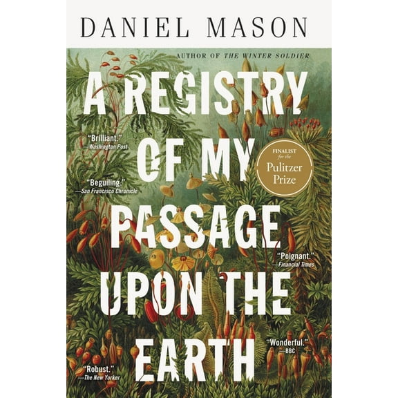 A Registry of My Passage Upon the Earth: Stories, (Paperback)