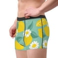 thumbnail image 4 of Kll Lemons Chamomile Flowers And Leaves Men'S Cotton Boxer Briefs Underwear-Medium, 4 of 9