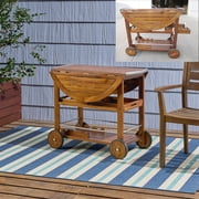 Rayan Outdoor Dark Oak Acacia Wood Bar Cart with Shiny Powder Coated Aluminum Accents