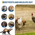 thumbnail image 4 of EuKer Chicken Wire Fencing, 48in x 100 ft Wire Mesh Roll for Chicken Coops, Garden Fence, Tree Guards, Black, 4 of 8
