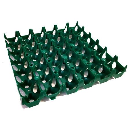 

Werqueid Large Egg Setting Tray