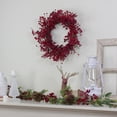 thumbnail image 2 of Northlight Artificial Berry Christmas Twig Wreath - 20" - Unlit, 2 of 6