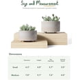 thumbnail image 6 of Succulent Pots, 6.5+8 Inch Ceramic Indoor Plant Pot with Drainage Hole, Shallow Round Succulent Planters, Set of 2, Reactive Glaze Star White, 6 of 6