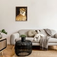 thumbnail image 3 of Stupell Industries Leopard with Geometric Border Animals & Insects Painting Gallery Wrapped Canvas Art Print Wall Art, 24 x 30, 3 of 8