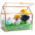 thumbnail image 4 of Centro de mesa Glass House D'Eco Terrarium 25 x 15 x 20 cm, 4 of 9