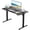 Black, variant on Gylador Electric Standing Desk, 40''x24'' Height Adjustable Desk with Memory Preset, Stand up Desk with Electric Lift, Electric Desk for Home, Computer Desk, Office Desk, 2 Boards, Brown