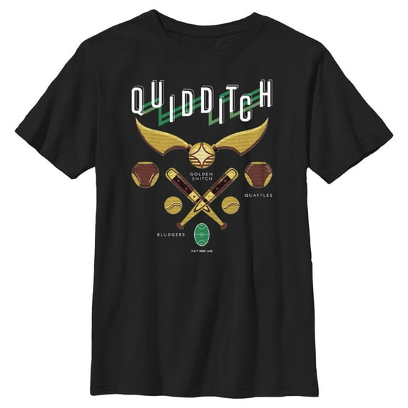 Boy's Harry Potter Quidditch Elements  Graphic Tee Black Medium