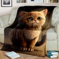 thumbnail image 1 of Mignon Calico Chat Garfield Chat Persan Ragdoll Dessin Animé Couverture Doux Jeter pour la Maison Chambre Lit Canapé Couverture Enfants, 1 of 7