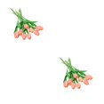 thumbnail image 4 of Yuarrent 10 bolsas de materiales para arreglos de flores artificiales, impresionantes exhibiciones florales DIY con facilidad para mezclar y polvo de puesta de sol 2Conjunto, 4 of 6